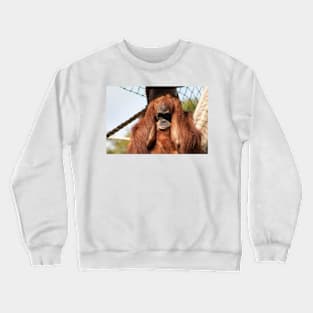 Sumatran orangutan Crewneck Sweatshirt